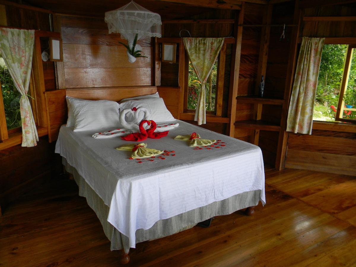 Hôtel Good Hope Retreat à Cave Chambre photo